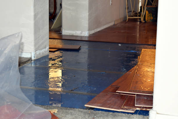 Professional Burst Pipe Cleanup technician working in Twin Bridges, CA